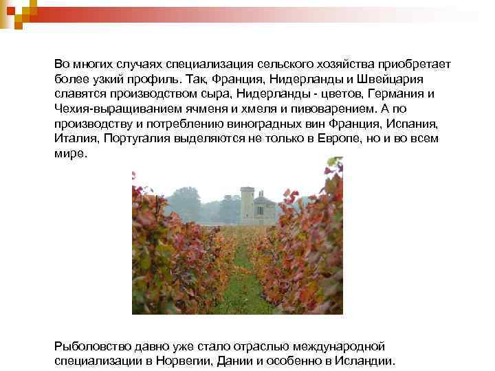 Во многих случаях специализация сельского хозяйства приобретает более узкий профиль. Так, Франция, Нидерланды и