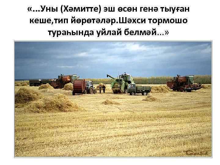  «. . . Уны (Хәмитте) эш өсөн генә тыуған кеше, тип йөрөтәләр. Шәхси