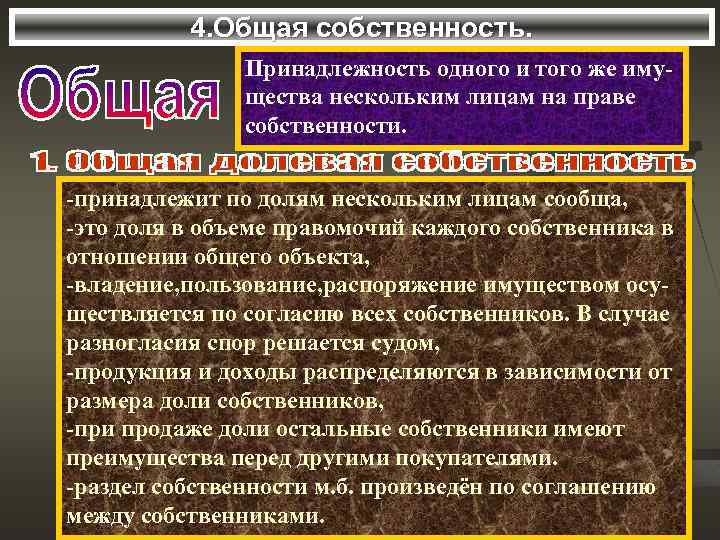 4. Общая собственность. Принадлежность одного и того же имущества нескольким лицам на праве собственности.