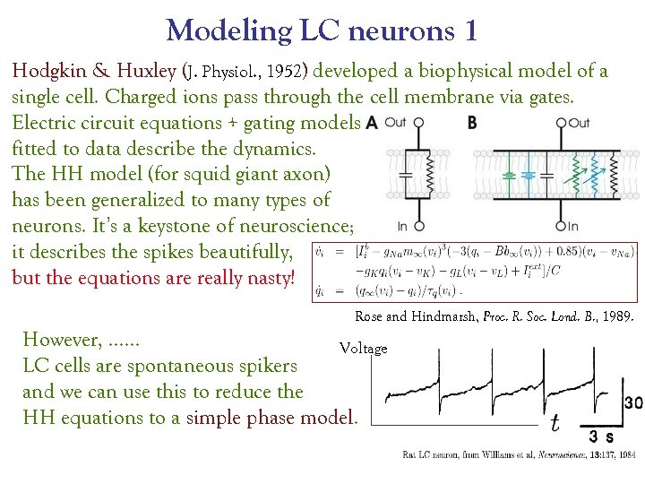 Modeling LC neurons 1 Hodgkin & Huxley (J. Physiol. , 1952) developed a biophysical
