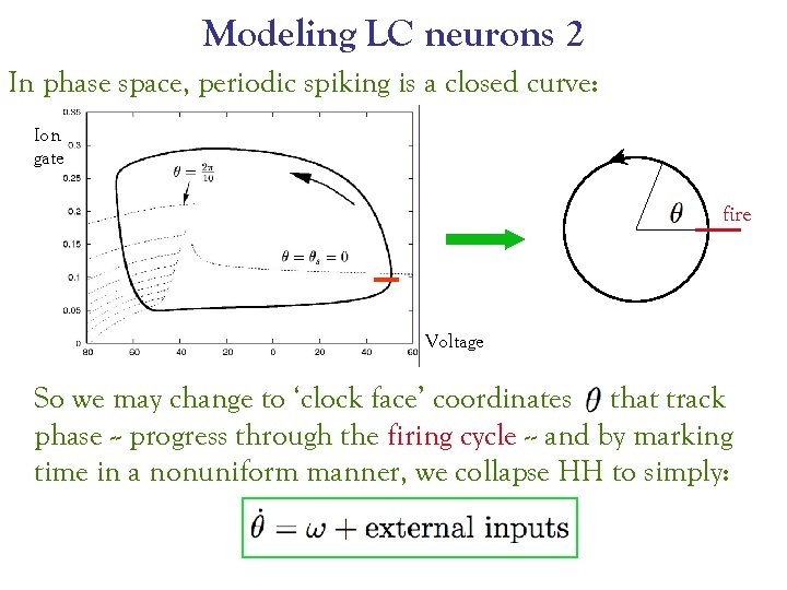 Modeling LC neurons 2 In phase space, periodic spiking is a closed curve: Ion