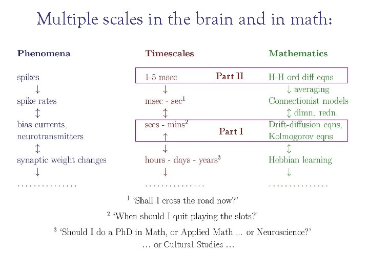 Multiple scales in the brain and in math: Part II Part I … or
