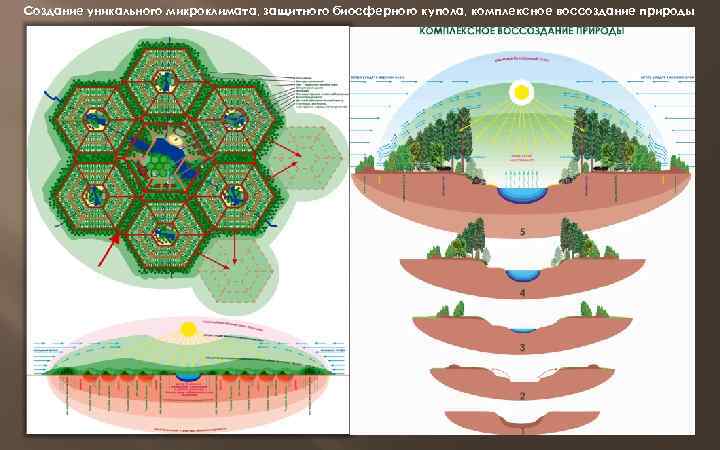 Создание уникального микроклимата, защитного биосферного купола, комплексное воссоздание природы 