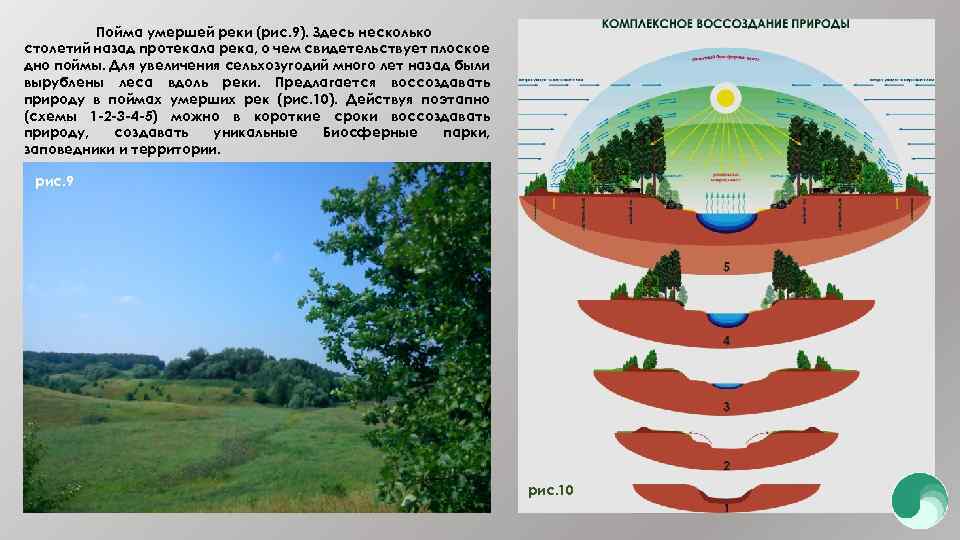 Пойма умершей реки (рис. 9). Здесь несколько столетий назад протекала река, о чем свидетельствует