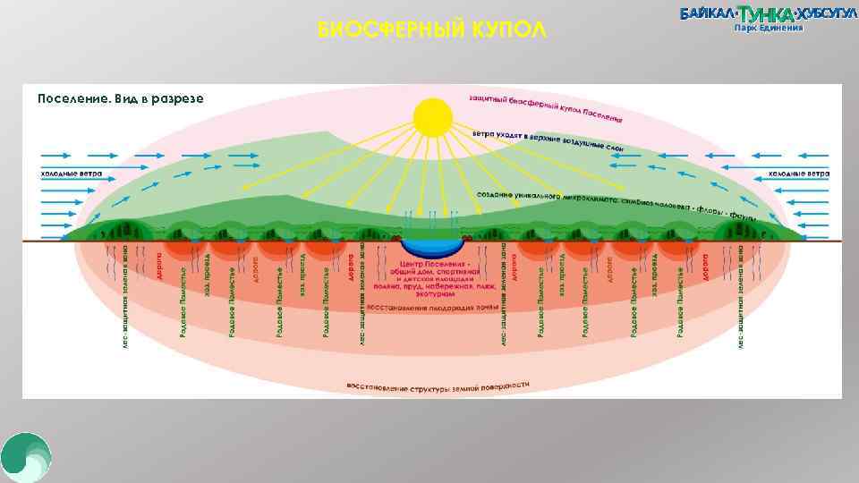 БИОСФЕРНЫЙ КУПОЛ Поселение. Вид в разрезе 