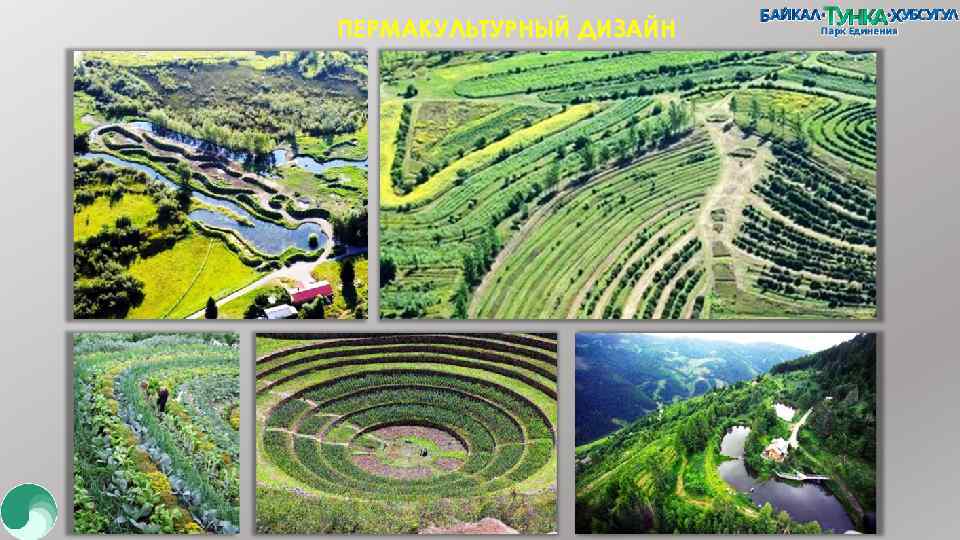 ПЕРМАКУЛЬТУРНЫЙ ДИЗАЙН 