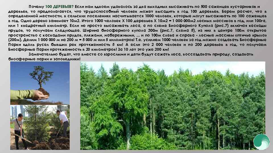 Почему 100 ДЕРЕВЬЕВ? Если нам вдвоем удавалось за два выходных высаживать по 500 саженцев