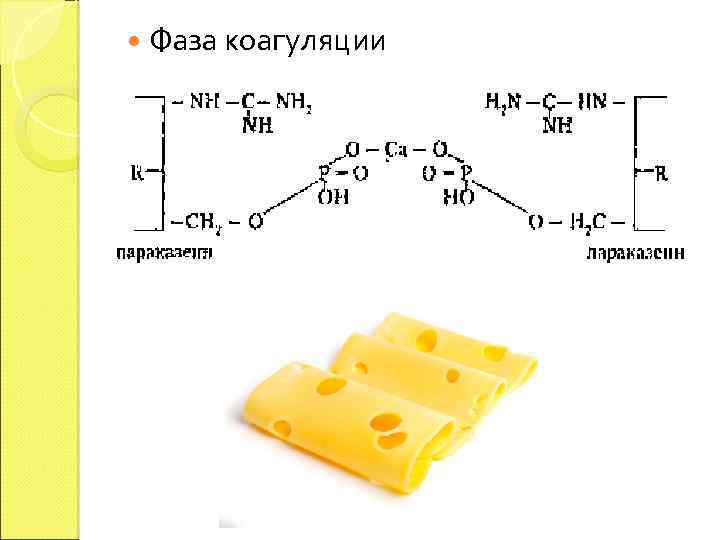  Фаза коагуляции 