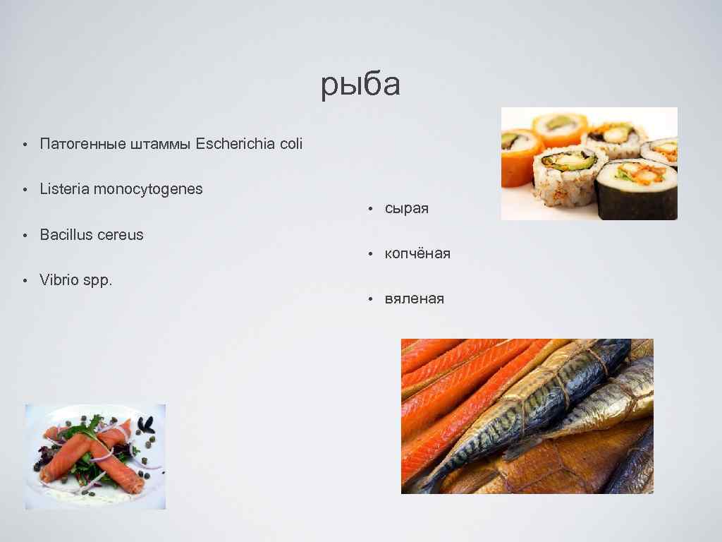 рыба • Патогенные штаммы Escherichia coli • Listeria monocytogenes • • сырая копчёная •