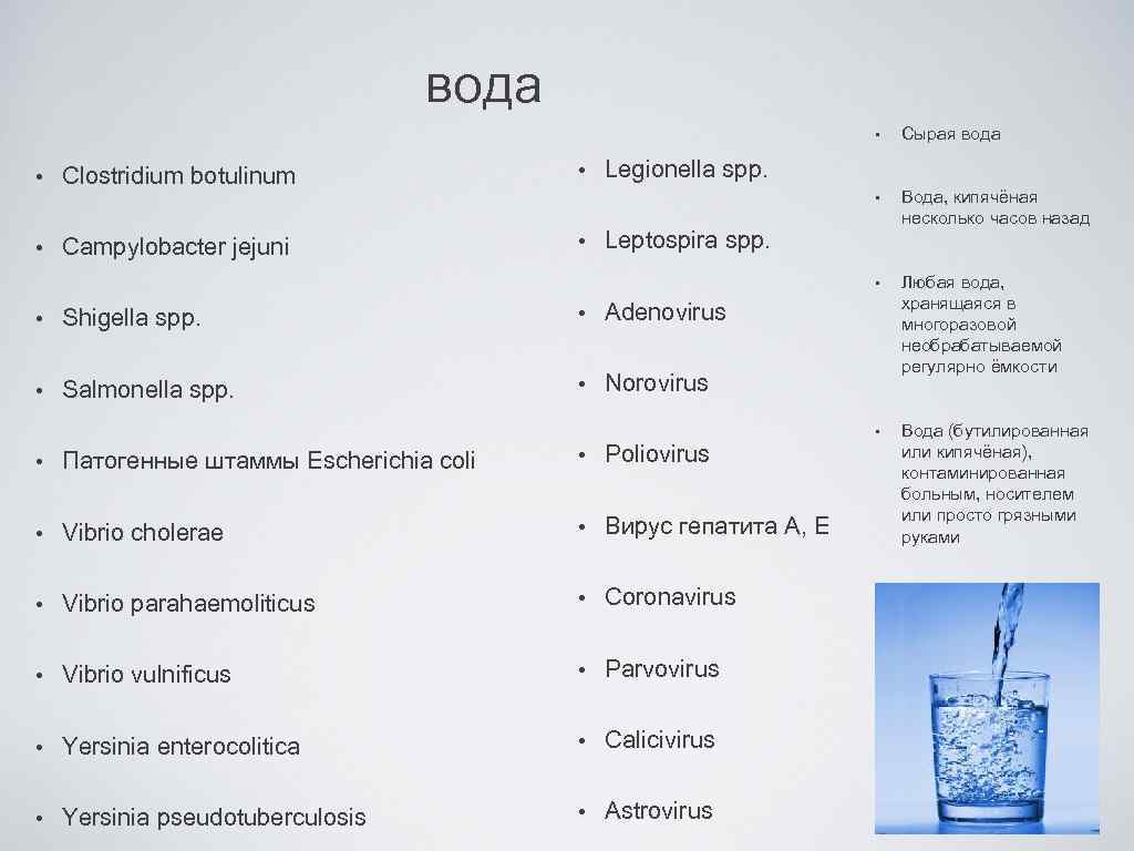 вода • • Campylobacter jejuni • • Любая вода, хранящаяся в многоразовой необрабатываемой регулярно