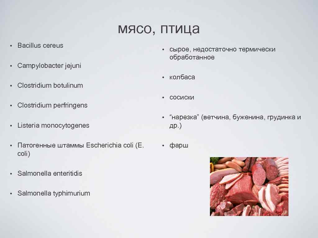 мясо, птица • Bacillus cereus • Campylobacter jejuni колбаса • сосиски • • сырое,