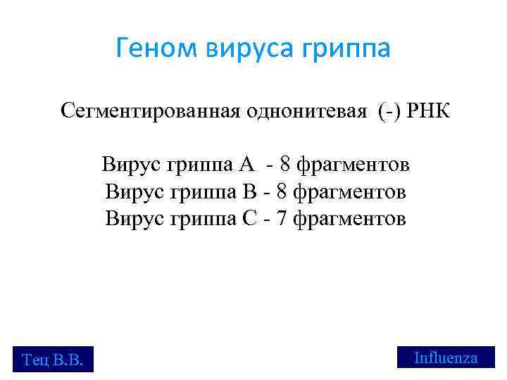 Геном вируса гриппа Сегментированная однонитевая (-) РНК Вирус гриппа А - 8 фрагментов Вирус