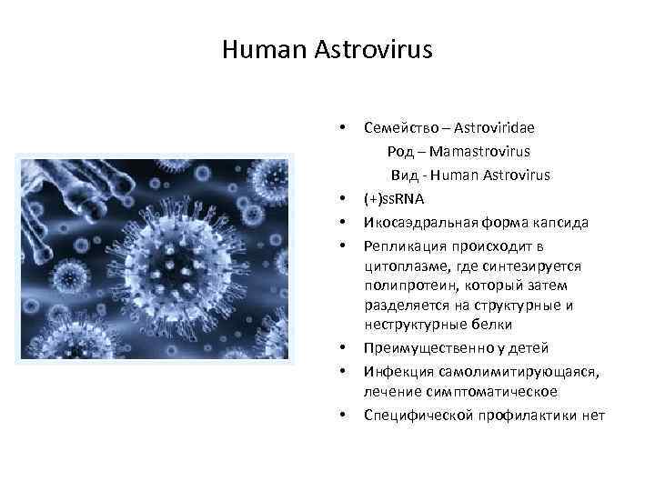 Human Astrovirus • • Семейство – Astroviridae Род – Mamastrovirus Вид - Human Astrovirus