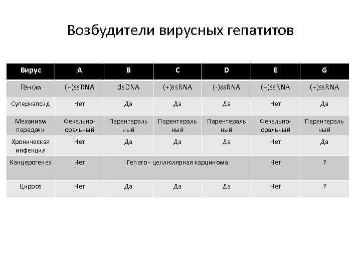 Возбудители вирусных гепатитов Вирус A B C D E G Геном (+)ss. RNA ds.