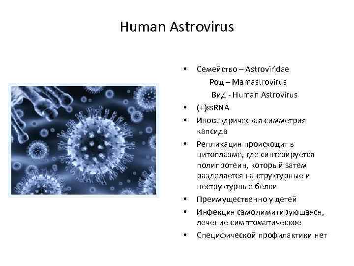 Human Astrovirus • • Семейство – Astroviridae Род – Mamastrovirus Вид - Human Astrovirus