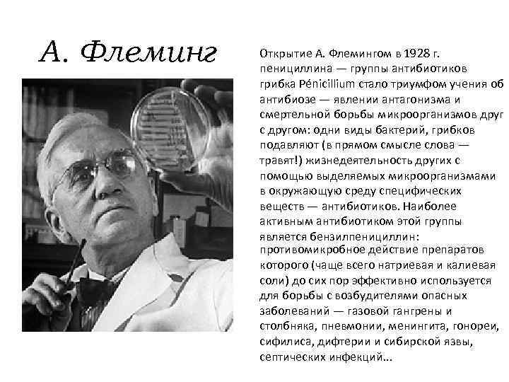А. Флеминг Открытие А. Флемингом в 1928 г. пенициллина — группы антибиотиков грибка Pénicillium