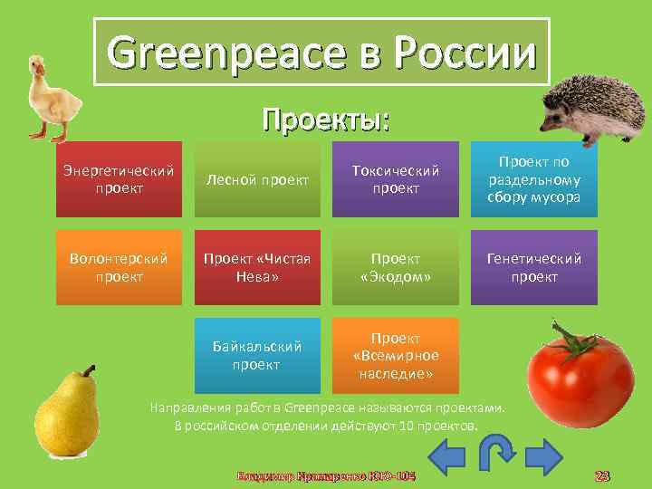 Greenpeace в России Проекты: Проект по раздельному сбору мусора Проект «Экодом» Генетический проект Байкальский