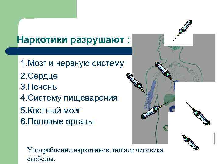 Наркотики разрушают : 1. Мозг и нервную систему 2. Сердце 3. Печень 4. Систему