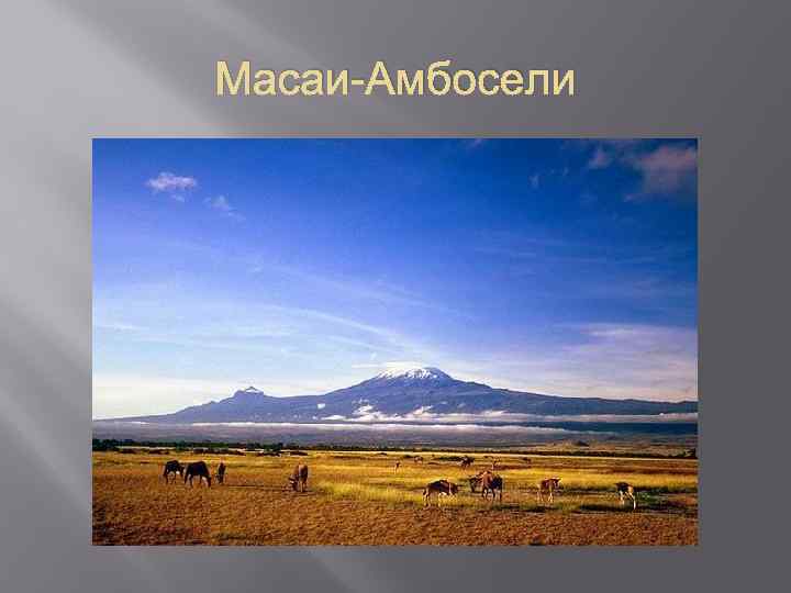 Масаи-Амбосели 