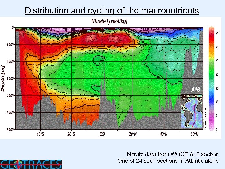 Distribution and cycling of the macronutrients Atlantic. Nitrate data from WOCE A 16 section