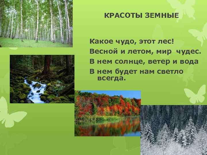КРАСОТЫ ЗЕМНЫЕ Какое чудо, этот лес! Весной и летом, мир чудес. В нем солнце,