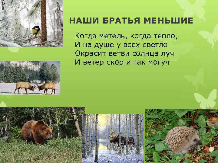 НАШИ БРАТЬЯ МЕНЬШИЕ Когда метель, когда тепло, И на душе у всех светло Окрасит