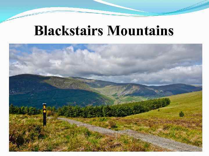 Blackstairs Mountains 