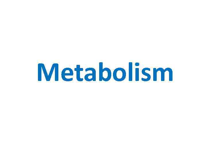 Metabolism 