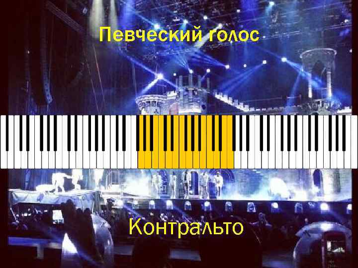 Певческий голос Контральто 