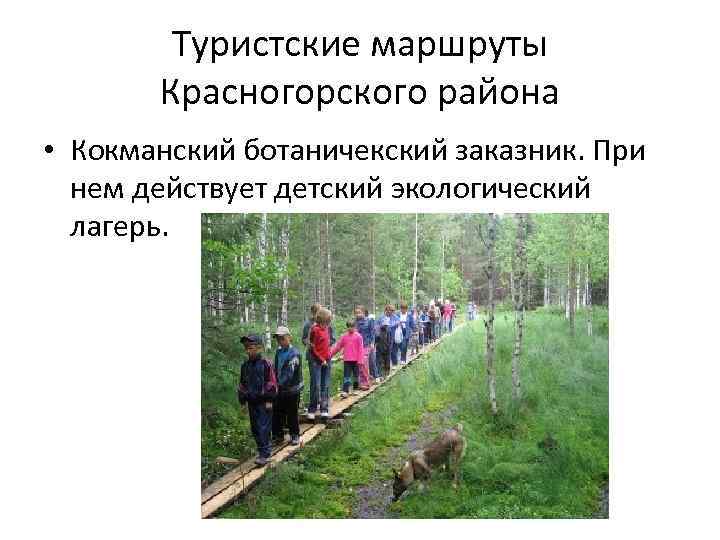 Туристские маршруты Красногорского района • Кокманский ботаничекский заказник. При нем действует детский экологический лагерь.