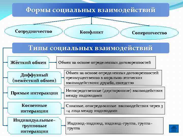 План социальное взаимодействие