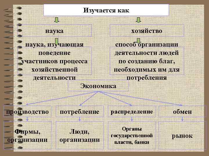 Тест по теме экономика наука и хозяйство