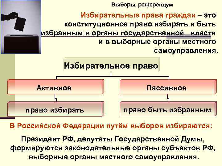 Административно правовой референдум