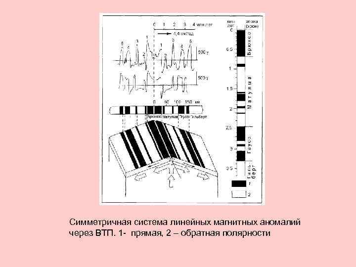 Симметричная система линейных магнитных аномалий через ВТП. 1 - прямая, 2 – обратная полярности