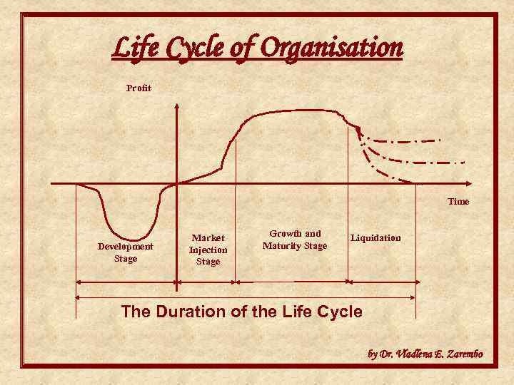Life Cycle of Organisation Profit Time Development Stage Market Injection Stage Growth and Maturity