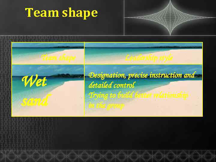 Team shape Wet sand Leadership style Designation, precise instruction and detailed control Trying to