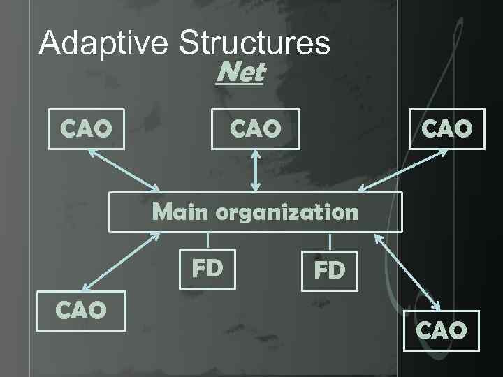 Adaptive Structures Net CAO CAO Main organization FD CAO 