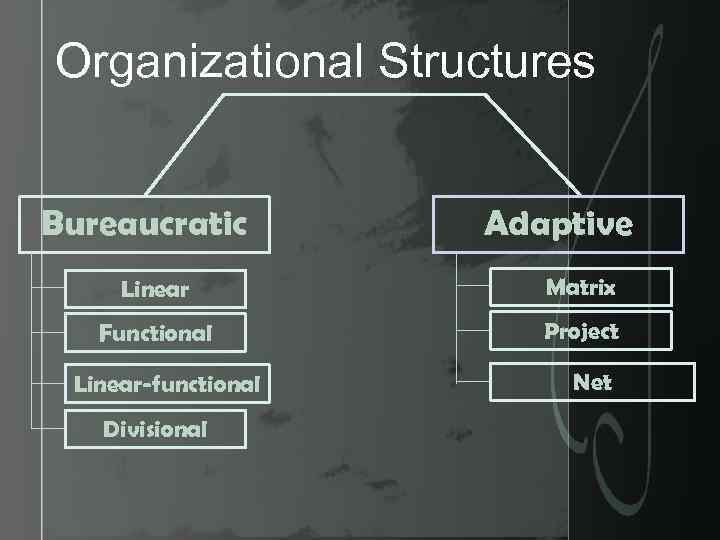 Organizational Structures Bureaucratic Adaptive Linear Matrix Functional Project Linear-functional Divisional Net 