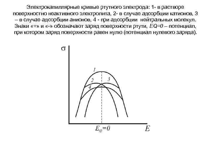 Электрокапиллярные кривые ртутного электрода: 1 - в растворе поверхностно неактивного электролита, 2 - в