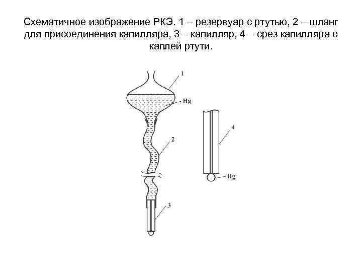 Схематичное изображение РКЭ. 1 – резервуар с ртутью, 2 – шланг для присоединения капилляра,