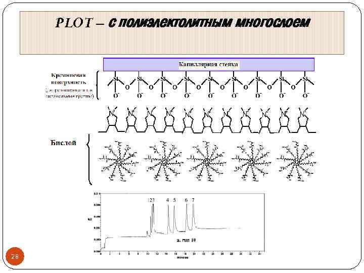 PLOT – с полиэлектолитным многослоем 28 