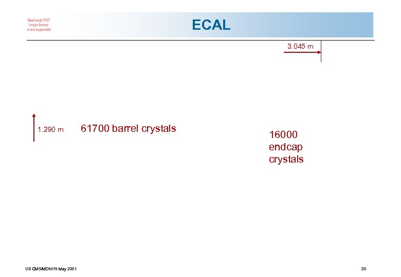 ECAL 3. 045 m 1. 290 m US CMS/MDN/19 May 2001 61700 barrel crystals