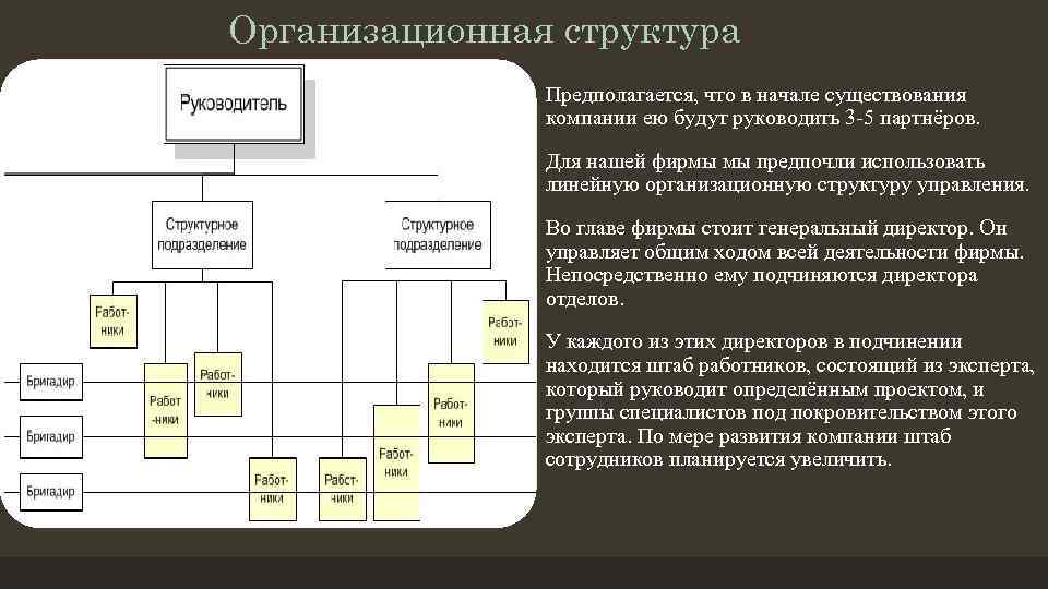 Организационная структура • Предполагается, что в начале существования компании ею будут руководить 3 -5