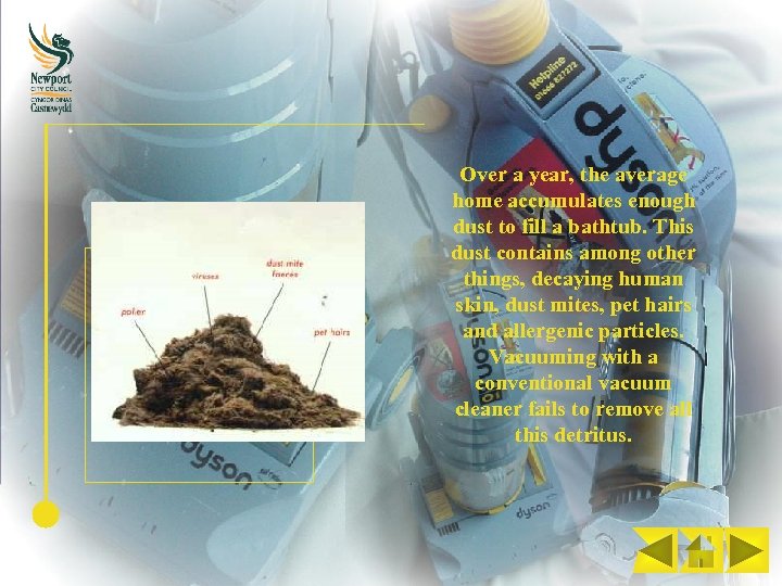 Over a year, the average home accumulates enough dust to fill a bathtub. This