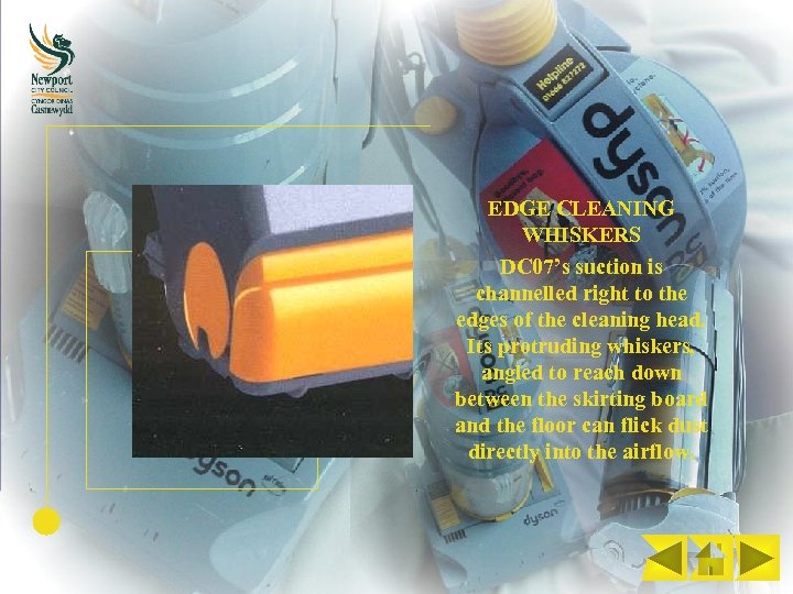 EDGE CLEANING WHISKERS DC 07’s suction is channelled right to the edges of the