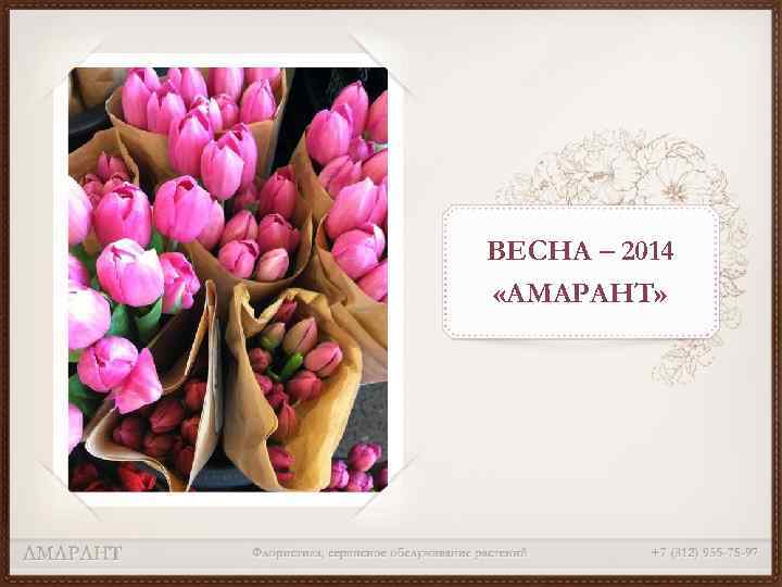 ВЕСНА – 2014 «АМАРАНТ» 