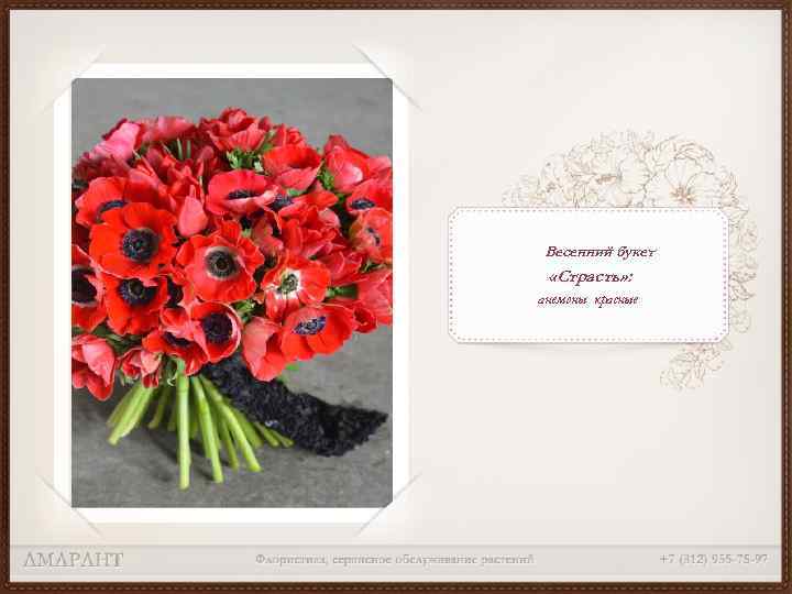 Весенний букет «Страсть» : анемоны красные 