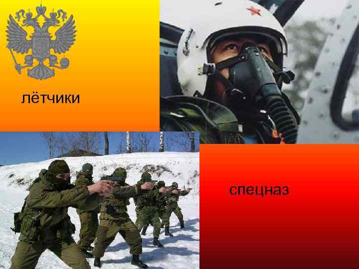 лётчики • спецназ 