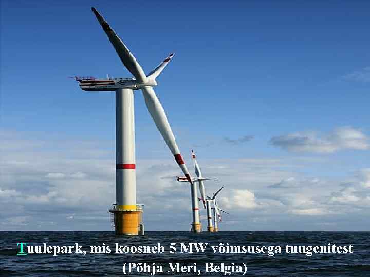 Tuulepark, mis koosneb 5 MW võimsusega tuugenitest (Põhja Meri, Belgia) 