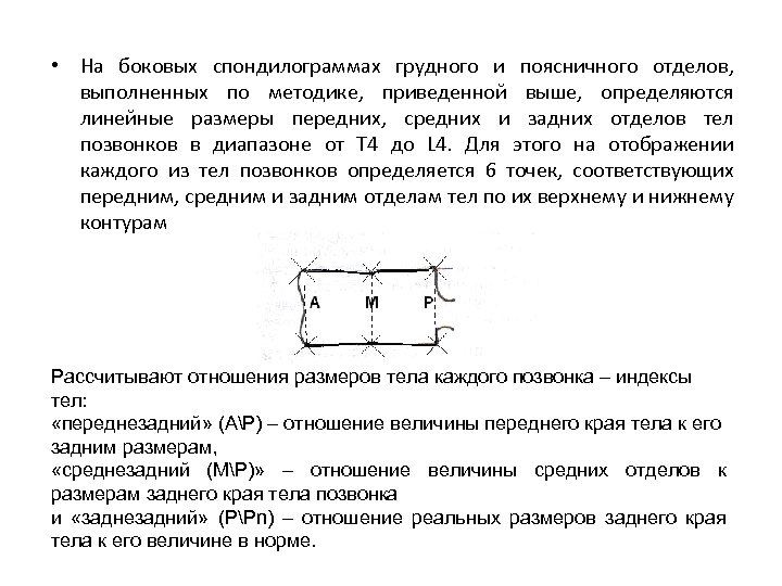  • На боковых спондилограммах грудного и поясничного отделов, выполненных по методике, приведенной выше,